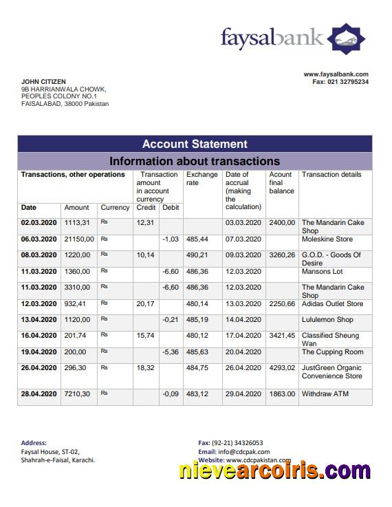 Pakistan Faysal bank statement in Word and PDF format
